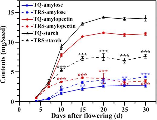 Changes of amylose, amylopectin, and starch contents in developing kernels in 2016. The contents are standardized by one seed. Values are means ± sd from three biological replicates. Asterisks highlight significant differences in amylose, amylopectin, and starch contents between TQ and TRS by Student’s t test (*, P < 0.05; **, P < 0.01; and ***, P < 0.001).