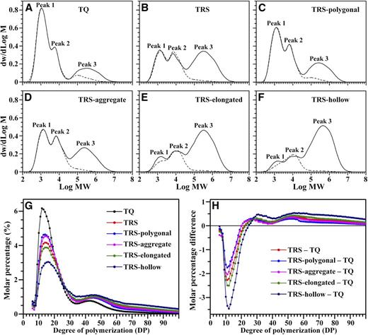 Starch components and amylopectin molecular structure of TQ and TRS developing kernels at 25 DAF in 2016. A to F, GPC profiles of isoamylase-debranched starch (solid lines) and purified amylopectin (dotted lines). Peak 1 and peak 2 consist of short and long branch chains of amylopectin, respectively. Peak 3 is a mixture of amylose and amylopectin extra-long chains. MW, Molecular weight. G, Chain-length distribution of amylopectin by FACE. H, Differences in amylopectin chain lengths between TQ and TRS starches.