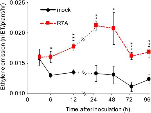 Ethylene emission of L. japonicus during interaction with M. loti. Five-day-old plants were inoculated and grown in unsealed glass vials until capping 3 h prior to each measurement point. Measurements were conducted on independent biological replicates at each time and condition for n = 6. Asterisks represent statistical comparison between mock and R7A by t test at each time: *< 0.05, **< 0.01, ***< 0.001.
