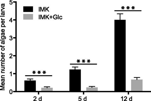 Inefficient population of a cnidarian host by SSB01 cells after growth in the presence of Glc. Six-day-old Aiptasia larvae (see “Materials and Methods”) were exposed for 2 d to SSB01 cells (1 x 104 cells mL−1) that had been grown in IMK or IMK+Glc medium for 14 d in continuous light, and the numbers of algae in larval gastrodermal cells were determined by fluorescence microscopy (see “Materials and Methods”) at the indicated times after the initial exposure. Shown are means ± sems. ***P (t test) < 0.001.