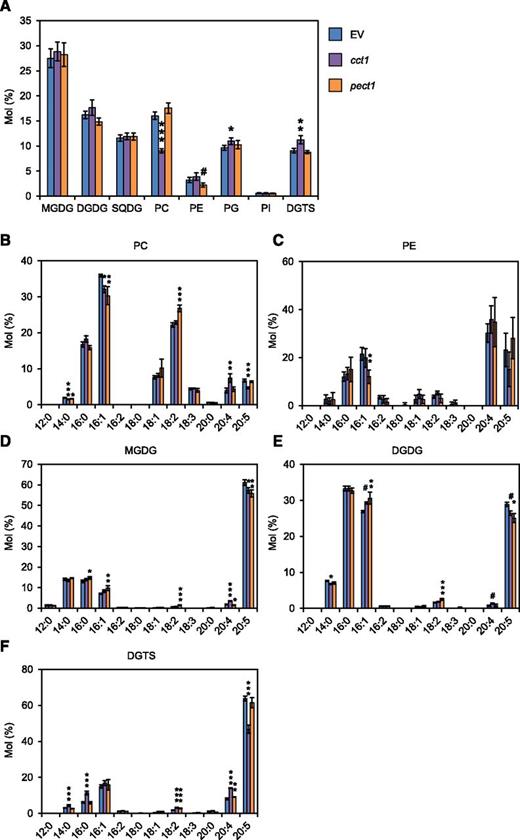 Membrane lipid composition of mutants cct1 and pect1 grown under normal conditions. A, Membrane lipid composition compared with EV (control). EV and mutant lines were cultured for 3 d under normal conditions before lipid analysis. B to F, Fatty acid profile of PC (B), PE (C), MGDG (D), DGDG (E), and DGTS (F) in EV, cct1, and pect1. Data represent the mean ± sd of four biologically independent experiments. Statistical significance was determined with Dunnett’s test (compared with EV): #, P < 0.1; *, P < 0.05; **, P < 0.01; ***, P < 0.001. SQDG, Sulfoquinovosyldiacylglycerol; PG, phosphatidylglycerol; PI, phosphatidylinositol.
