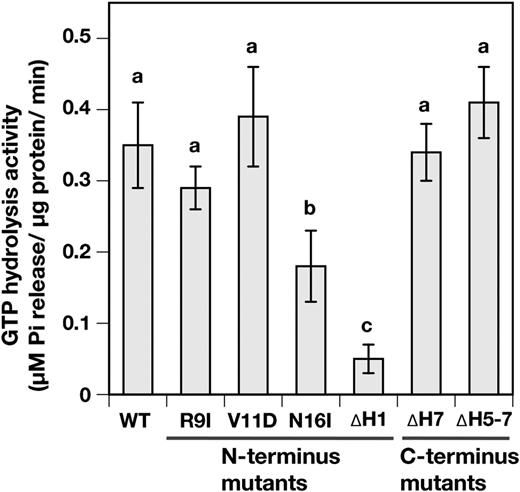 Analyses for the important domains and amino acids on VIPP1 for GTP hydrolysis activity. The GTP hydrolysis activities of wild type (WT) and N-terminally and C-terminally mutated VIPP1-His proteins were analyzed. All analyses were conducted under standard conditions (see “Materials and Methods”). Bar graphs and error bars show means and sd, respectively, of results obtained from four to six independent experiments. Different letters denote significant differences between GTP hydrolysis activity of His-tagged proteins (Student’s t test, for which P < 0.05 was inferred as significant).