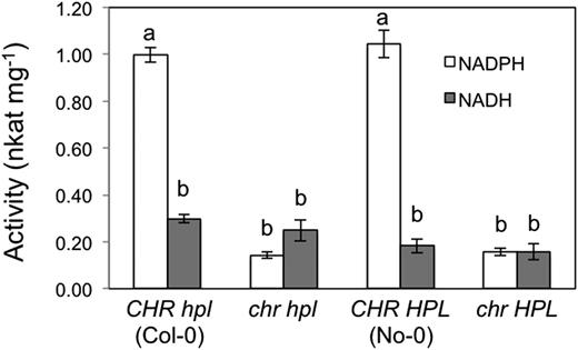 NADPH consumption depending on (Z)-3-hexenal in wild-type and mutant Arabidopsis leaves. Activities were determined in four biological replicates (n = 4) and are presented as averages ± se. Different letters indicate significant differences, as identified using two-way ANOVA and Tukey’s posthoc tests (P < 0.05).