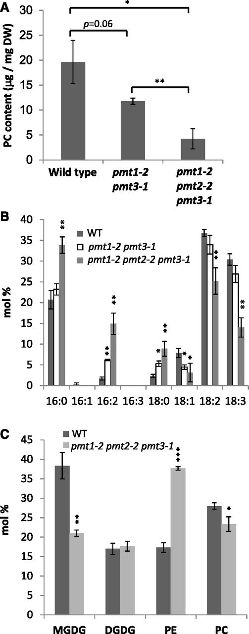Analysis of PC and other primary membrane glycerolipid classes (MGDG, DGDG, and PE) in the 14-d-old seedlings of the wild type (WT) and pmt1-2 pmt2-2 pmt3-1. A, Amount of PC in the wild type, pmt1-2 pmt3-1, and pmt1-2 pmt2-2 pmt3-1 per dry tissue weight (DW) in 14-d-old seedlings. B, Fatty acid composition (mol %) of PC analyzed in (A). C, Contents of MGDG, DGDG, PE, and PC shown by mol % in the 14-d-old seedlings of the wild type and pmt1-2 pmt2-2 pmt3-1. Data are mean ± sd from three biological replicates. Statistical significance was analyzed by Student’s t test (*, P < 0.05; **, P < 0.01; ***, P < 0.001). In (B) and (C), significance was analyzed as compared with the wild type.