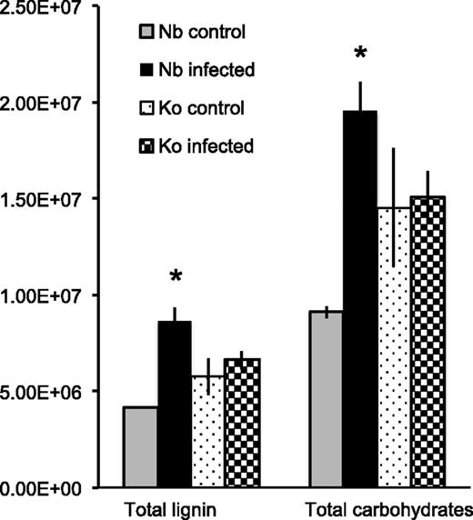 Lignin and carbohydrate contents in rice roots under control conditions or infected with S. hermonthica at 4 dpi as estimated by pyrolysis-GCMS. Total lignin amount was calculated by summing up area values in each pyrogram of lignin-derived compounds except for 4-vinylphenol, 4-vinyl-guaiacol, and the analogous 2,6-dimethoxy-4-vinylphenol (4-vinylsyringol), whereas total carbohydrate amount was determined by summing up the area of 18 peaks derived from carbohydrates as listed in Supplemental Data Set S3. Values represent mean ± SE. Asterisks (*) indicate statistically significant differences (Student’s t test, P < 0.05) between control and S. hermonthica-infected plants. Nb, Nipponbare; Ko, Koshihikari.