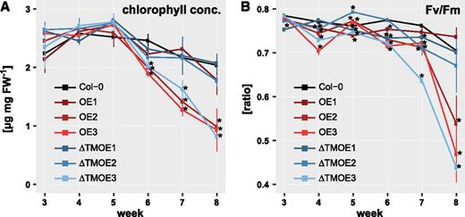 Chlorophyll concentrations and maximum quantum yield (Fv/Fm) of ANAC017 overexpression lines. Total chlorophyll concentrations (A) and maximum quantum yield (B) are shown for ANAC017 overexpression lines (OE, full-length ANAC017; ƊTMOE, ANAC017 lacking the transmembrane domain) and the wild type (Col-0). Leaves 5, 6, and 7 of each plant were harvested and pooled for chlorophyll measurement. Asterisks indicate statistically significant differences (P < 0.05, Student’s t test) from the wild type. Values given are means ± se of five plants. FW, Fresh weight.
