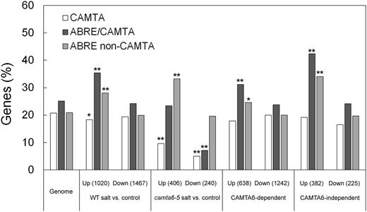 Occurrence of CAMTA and ABRE motifs in the promoters of differentially expressed genes. Occurrence of CAMTA (A/CCGCGG/T/C), ABRE/CAMTA (A/CCGTGT), and ABRE/non-CAMTA (ACGTGC/G) motifs in the 1,000 b of genomic sequences (reference genome TAIR10) of the presumed promoters of differentially expressed genes of wild type (WT)-salt versus wild type-control, camta6-5-salt versus camta6-5-control, and CAMTA6-dependent and CAMTA6-independent was determined by Promomer (http://bbc.botany.utoronto.ca/ntools/cgi-bin/BAR_Promomer.cgi.; see “Materials and Methods”). The percentage of genes containing the relevant motif out of the number of differentially expressed genes in the respective group is depicted. Fisher’s exact test was calculated for each motif relative to the motif distribution in the genome. Significant motifs are marked with asterisks: *, P ≤ 0.05 and **, P ≤ 0.001.