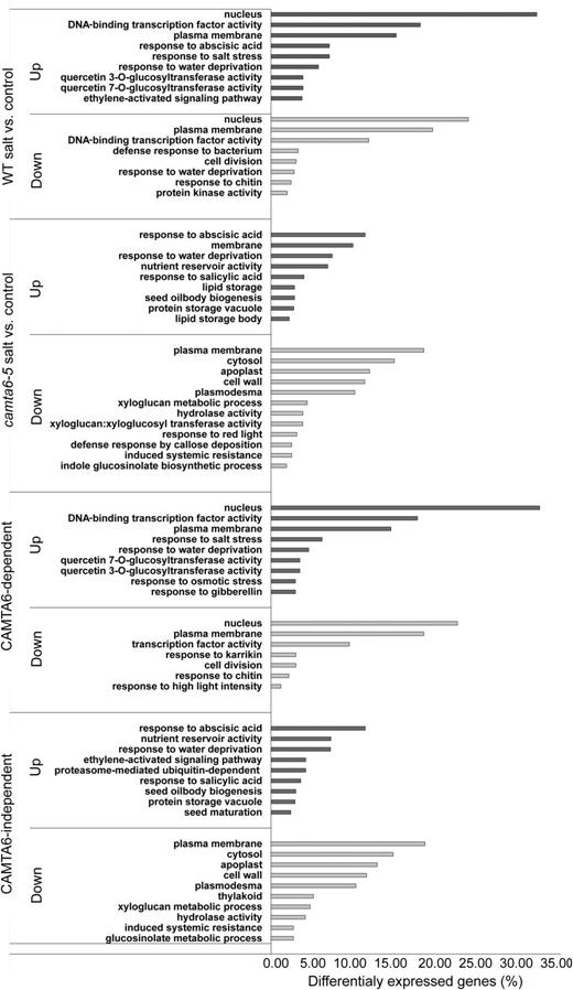 Functional classification of differentially expressed genes by the Funrich enrichment tool (http://www.funrich.org). The tool was used with the Uniprot identifiers and Benferroni-corrected P values (P ≤ 0.05). The enrichment analysis of the differentially expressed up- and down-regulated genes was classified based on the following: biological process, molecular function, and cellular component. WT, Wild type.