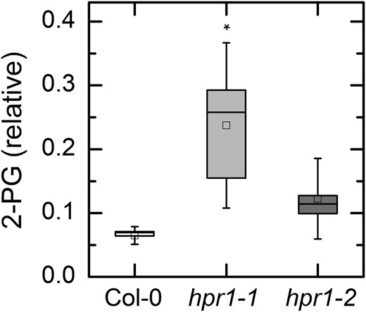 2-PG content in leaves of Col-0 and two HPR mutants. 2-PG was measured by HPLC/MS-MS. Leaves were harvested after 6 h in 125 or 1,000 μmol photons m−2 s−1. Because the data for both light intensities were indistinguishable, they were combined to increase statistical power. Data are expressed as peak area of 2-PG divided by peak area of the internal standard relative to the weight of plant material extracted. The results in high and low light were not different and so all of the data were combined. Differences between the wild type and treatments were tested by one-way ANOVA followed by Tukey’s test. The box encompasses the middle two quartiles, the mean is shown as an open square inside the box, the median is shown as a line inside the box, and the whiskers show the sd of the data. Statistical differences are indicated as follows: *, α = 0.05. n = 7 or 8.