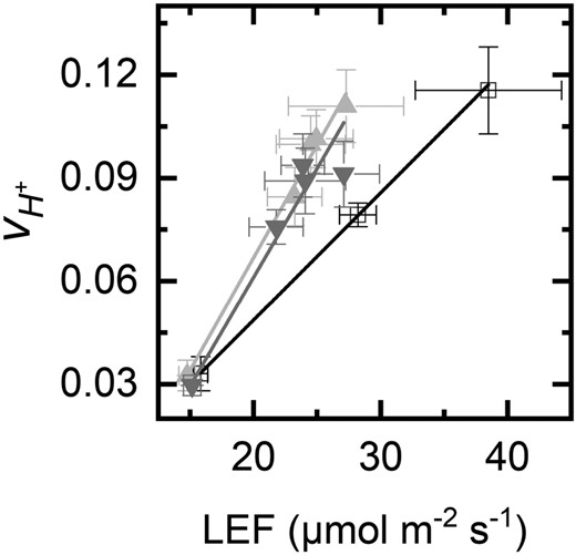 Cyclic electron flow in hpr1 mutants. The plot shows vH + versus LEF (measured by chlorophyll fluorescence quenching analysis). The error bars indicate sd. The linear regressions were y = 0.0037x − 0.025, R 2 = 0.9997 for Col-0 (white squares/black line), y = 0.0053x – 0.0064, R 2 = 0.995 for hpr1-1 (upward triangles, light gray line), and y = 0.0063x – 0.065, R 2 = 0.97 for hpr1-2 (downward triangles, dark gray line).