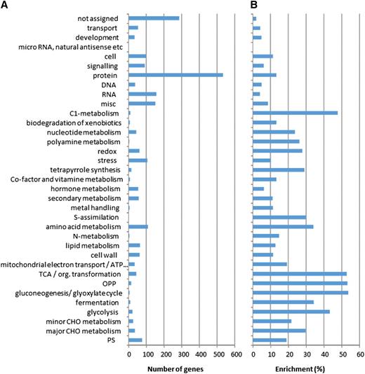 Enrichment of MapMan categories. A, Number of genes corresponding to proteins detected within each functional category. B, Ratio between detected and nondetected proteins (enrichment expressed in %). TCA, tricarboxylic acid cycle; OPP, oxydative pentose phosphate; CHO, carbohydrate.