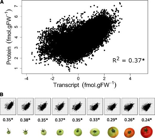 Correlation between 2,375 protein and transcript abundancies during fruit development. A, Correlation plot obtained for all stages. B, Correlation plots obtained at each of the nine stages identified by stage of fruit development. Correlation coefficients (R 2) are given below each plot. Data were log-transformed before analysis.
