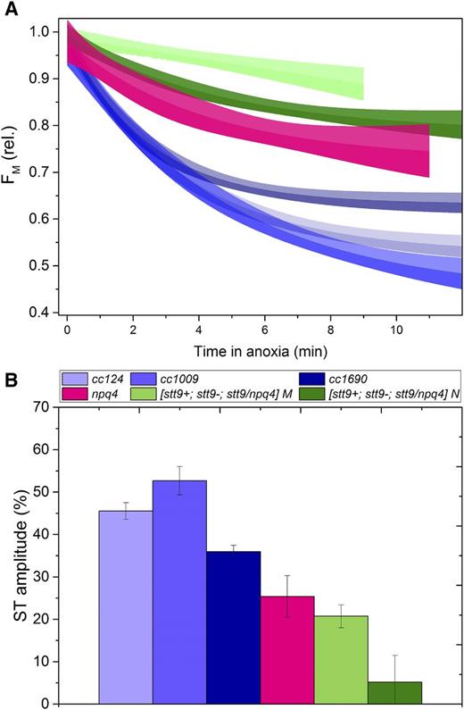 State transitions in cells acclimated to the day-night cycle. A, Kinetics of the transition from full state I (achieved with illumination in the presence of DCMU) to complete state II upon anoxia. The line represents a monoexponential decay fit of three independent experiments, whereas the shaded areas correspond to 95% confidence intervals of the fit. B, Amplitude of the state I to state II transition. Means ± sd from three independent experiments are shown.