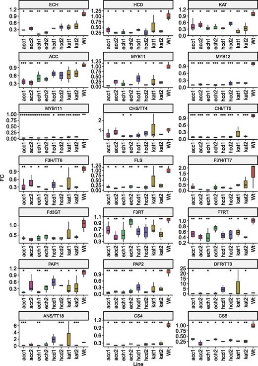 Transcript levels of candidate genes and characterized flavonoid genes in wild type and mutant lines. Transcript levels were determined by reverse transcription quantitative PCR (RT-qPCR) and normalized to ACT2, UBQ10, and GAPDH3′. Boxplots represent at least three biological replicates, each with two technical replicates. Statistical significance of each line relative to the wild type is coded as ****P ≤ 0.0001, ***P ≤ 0.001, **P ≤ 0.01, and *P ≤ 0.05 by Student's two-tailed t test.