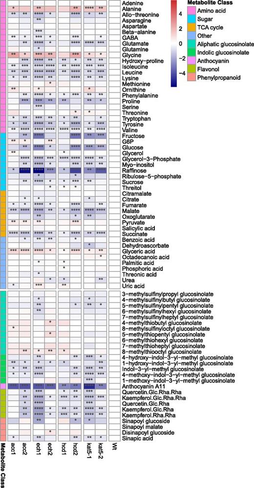 Primary and secondary metabolite profiling of candidate gene mutant lines and wild type. Scales represent the log2 fold change relative to the wild type. Statistical significance for each line relative to the wild type is coded as ****P ≤ 0.0001, ***P ≤ 0.001, **P ≤ 0.01, and *P ≤ 0.05 by Student's two-tailed t test. The heatmap was produced using the function pheatmap in R.