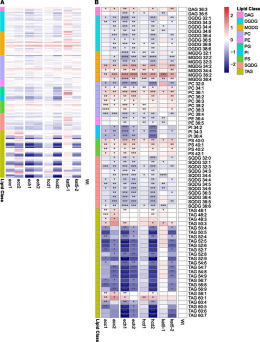 Lipid profiling of candidate gene mutant lines and wild type. A, Profile of all lipids belonging to the different classes. B, Selected lipids differentially accumulating in mutant lines. Scales represent the log2 fold change relative to the wild type. Statistical significance for each line relative to the wild type is coded as ****P ≤ 0.0001, ***P ≤ 0.001, **P ≤ 0.01, and *P ≤ 0.05 by Student's two-tailed t test. The heatmap was produced using the function pheatmap. DAG, diacylglycerol; PG, phosphatidylglycerol; MGDG, monogalactosyldiacylglycerol, SQDG, sulfoquinovosyldiacylglycerol. The numbers in a lipid name describe the fatty acid chains on the lipid in the format (number of carbons in fatty acid chain):(number of double bonds in fatty acid chain), with unique numbering used to distinguish isomers.