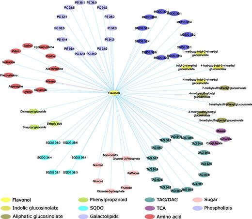 Metabolic correlation network. The correlation matrix was computed using the R package Hmisc and represented using cytoscape v3.6.1 (Shannon et al., 2003). Nodes represent metabolites and edges represent pairs of metabolites with a Spearman rank correlation above an absolute threshold of 0.5. The node color code indicates the different metabolite classes in the figure. Edge colors represent positive (blue) and negative (red) correlation coefficients between the pairs of metabolites.