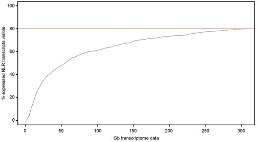 Estimated detectability of NLR transcripts in transcriptome studies. The percentage of expressed NLR transcripts (y axis) in leaves from the three-leaf stage is shown in relation to the amount of sequencing data (x axis) used as an input. A transcript is considered detectable if the combined length of mapped reads exceeds 5 times the length of the transcript. The red line indicates the maximum percentage of NLR transcripts detected with 305 Gb of RNA sequencing data.