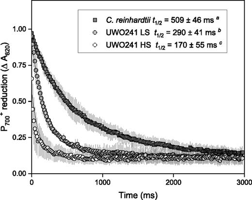 P700 rereduction kinetics of PSI in UWO 241 compared with the model mesophile C. reinhardtii. C. reinhardtii was grown in LS Bold’s Basal Medium (BBM) at 20°C/100 μmol m−2 s−1. UWO 241 was grown in either BBM (LS) or BBM + 700 mm NaCl (HS) and 8°C/50 μmol m−2 s−1. t1/2, Half-time for P700 rereduction. Data are means ± sd (n = 6–9). Values labeled with different lowercase letters indicate statistical differences (Student’s t test, unequal variance; P < 0.05).