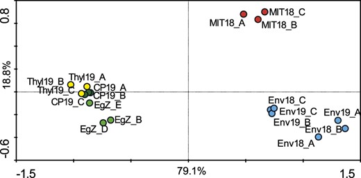 A principal component analysis (PCA) ordination biplot (first and second ordination axes) showing similarity among the lipid record (HPLC HR-MS/MS) of E. gracilis strain Z and its organellar (sub)fractions. The distribution of data explains variability in the data set by 79.1% on the x axis and 18.8% on the y axis (meaning that differences among samples are more substantial in horizontal distances than in vertical distances). Redundancy analysis (RDA) and Monte-Carlo permutation test (unrestricted permutations; n = 999) confirmed significant differences among the obtained data sets (P = 0.001). The ordination plot shows that the thylakoid subfraction (yellow) is much more similar to whole cells (light green) and to the plastid fraction (dark green) but is quite different from the mitochondrial fraction (red) or the envelope subfraction (blue). Since thylakoid membranes are highly abundant in photosynthetic plastids, the data distribution is expected and also shows the accuracy of the methodology used for membrane fractionation. CP, Plastid fractions; EgZ, E. gracilis strain Z; Env, plastid envelope subfractions; MIT, mitochondrial fractions; Thyl, thylakoid subfractions.
