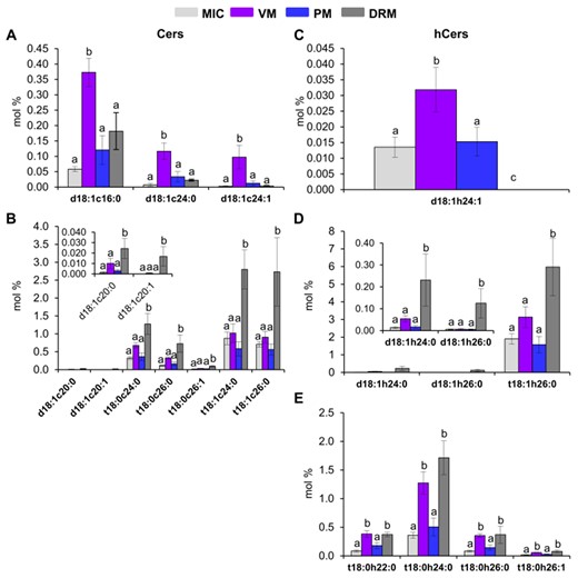 Differential distribution of individual species of Cers and hCers among the MIC, VM, PM, and DRM from Arabidopsis leaves. A and B, Cer individual species. C–E, hCer individual species. Values are expressed as mean ± SE from 4 to 8 replicates depending on the membrane source (see Figure 1). Different lowercase labels between bars indicate statistical differences as described in Figure 3.