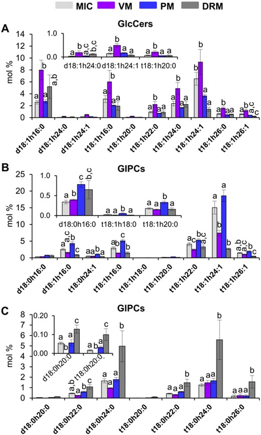 Differential distribution of GlcCer and GIPC individual species among the MIC, VM, PM, and DRM from Arabidopsis leaves. A, GlcCer individual species. B and C, GIPC individual species. Values are expressed as mean ± SE from 4 to 8 replicates depending on the membrane source (see Figure 1). Different lowercase labels between bars indicate statistical differences as described in Figure 3.