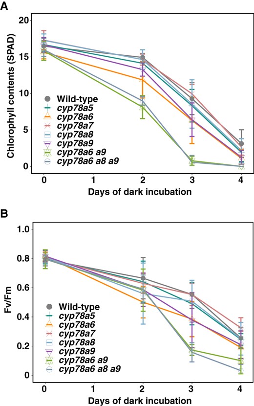 Leaf senescence of the CYP78A isoform mutants. A, Change in the chlorophyll content over time in the cyp78a mutants during dark incubation. B, Change in Fv/Fm value over time in the cyp78a mutants during dark incubation. Values are the means ± SD (n = 6).