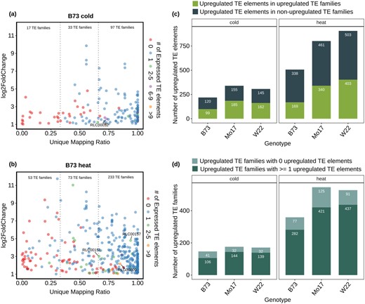Comparison of per-family and per-element analyses of TE expression. A, For all B73 TE families that are upregulated in cold condition the proportion of unique mapping reads attributed to the family was determined. The plot compares the expression change relative to control (y-axis) and proportion of unique mapping reads in cold stress (x-axis) for each upregulated TE family in B73. The color of each data point indicates the number of elements that are detected as expressed (> 1 CPM) in cold experiment. The number of TE families with less than one-third, one-thirds to two-thirds, or greater than two-thirds unique mapping reads is shown. The upregulated TE families that are shared among three genotypes (B73, W22, and Mo17) with more than two-third unique mapping ratio and ≥3 expressed TEs were labeled. B The same information is presented for upregulated TE families under heat condition. C In each genotype, the unique mapping reads were utilized to identify upregulated TEs. These upregulated TEs were compared to the results using multi-mapping reads to monitor per-family TE expression. The plot indicates the number of upregulated TEs that in TE families that are significantly upregulated and the number of upregulated elements that are in TE families that were not identified as significantly upregulated. D, The number of significantly upregulated TE families with at least 1 or with 0 upregulated elements (based on unique mapping reads) is shown.