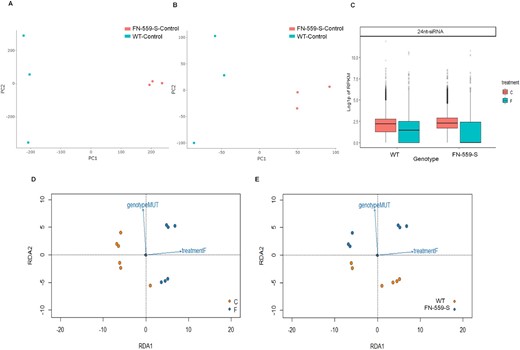 CpG Methylation profiles from leaves using principal component analysis of the CpG sites from FN-559-S and WT–kitaake under (A) control and (B) flooded environments. Color points represent genotype, FN-559-S: salmon and WT: blue. Profiles of 24nt-siRNA leaves from WT and FN-559-S under control and flooded treatments. C, Log10(P-value) of RPKM, normalized by using DEseq dispersion coefficients and size factor normalization. FN-559-S siRNA profiles are different from WT. Figure faceted by dicercall size generated using Shortstack, error bars show the standard error, blue color indicates flooded treatment and salmon color indicates control treatment. Diamond shapes are FN-559-S and circles are WT. D, Profile of RDA model using 24nt-siRNA RPKM data from leaf tissue. Color of dots represents treatment variable (Control: salmon; flooded: blue), (E) color of dots represents treatment variable (WT: salmon; FN-559-S: blue) Rotated axes are the scores of RDA1 and RDA2 model fit.
