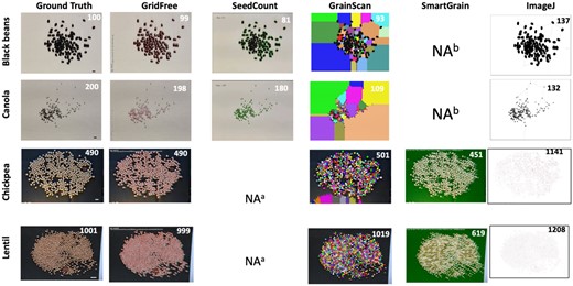 Comparison of counting results on seed images for five software programs. Comparison of GridFree’s counting accuracy with four other software packages, based on images of four different types of seed kernels: black bean, canola, chickpea, and lentil. Scale bar in black beans image is 12.80 mm; scale bar in canola image is 5.4 mm; scale bars in the chickpeas and lentil images are 20 mm. aThe package does not accept black backgrounds. bThe package does not accept white backgrounds.