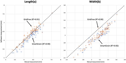 Comparison between manual measurements and predictions by GridFree and SmartGrain. A total of 92 wheat kernels were manually and compared with predictions by GridFree and SmartGrain on length (A) and width (B). Blue-colored results are predicted by SmartGrain, while orange-colored are from GridFree. The black dashed diagonal lines are the equivalent of manual measurements to compare the software estimates.
