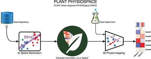 Plant PhysioSpace overview. The method consists of two main sections: space generation and Physio-mapping. A, In space generation, data from public repositories are processed and the relevant information is extracted. After trimming, the extracted information is stored in matrices called “space”, representing physiologically relevant expression patterns. B, Physio-mapping uses a space to analyze previously unknown data, for example, from another experiment. These data are mapped to the generated space, resulting in “similarity” scores that indicate the likeness of these data to the known physiological processes.