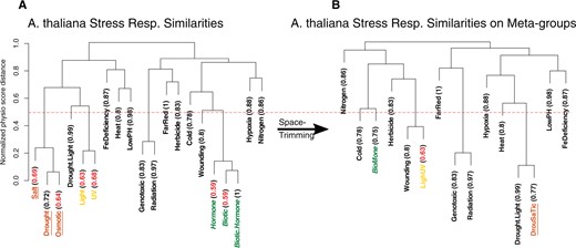 Space trimming. A, Stress groups are clustered and for each group, LOOCV accuracy is calculated, written in parenthesis. Clustering is done using physio scores; physio scores are normalized using min–max normalization (values are rescaled to span from 0 to 1), and since physio score is a measure of similarity, 1 – normalized physio scores are used as the distance measure for clustering. Y-axis represents this distance measure. B, Close groups with low accuracy, written in red, are combined to form new stress groups, called meta-groups. Groups are considered close if they merge in the dendrogram in a height ˂0.5 (50% of maximum height). This cut-off height is shown in the figure with a dashed red line. In this figure, Salt, Drought, and Osmotic stress groups, marked with underlined text and brown color, merge into DrouSaTic meta-group; Hormone, Biotic, and Biotic.Hormone groups form BioMone meta-group, written in green with italic font, and Light and UV groups combine into LighUV, shown in light yellow.