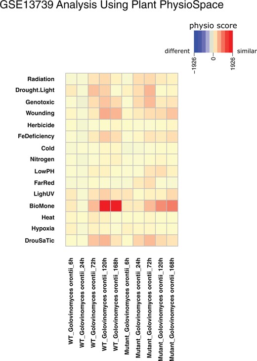 Analysis results of GSE13739. The GEO dataset GSE13739 is mapped against Smr¯using Plant PhysioSpace. The dataset provides samples of WT and MT Arabidopsis plants that are infected with G. orontii (Biotic stress). The MT plants are expected to be more resilient.