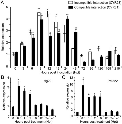 Transcript profiles of brassinazole-resistant 2 gene (TaBZR2) in wheat (Triticum aestivum, Suwon 11) leaves in response to Pst infection, flagelin 22 (flg22), and an elicitor-like protein of Pst (Pst322) treatment. A, The transcript levels of TaBZR2 in wheat leaves were induced during wheat–Pst interaction. Wheat leaves inoculated with CYR23 or CYR31 were sampled for RT-qPCR analysis and the leaves treated with distilled water were used as a control. B, The transcription of TaBZR2 in wheat response to flg22 treatment. C, The transcription of TaBZR2 in wheat response to Pst322 treatment. Wheat leaves treated with distilled water were included as a control. RT-qPCR values were normalized for elongation factor 1 alpha gene (TaEF-1α). Data are means ± se (n = 3). Each time point sample was compared with 0 h by Student’s t test (*P < 0.05; **P < 0.01).