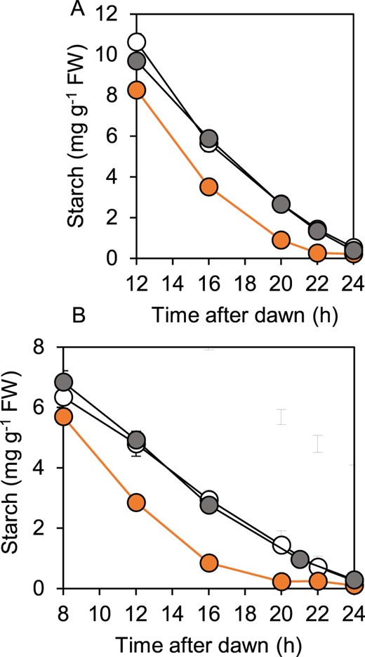 Patterns of starch degradation in wild-type, bam1-1, and bam1-2D plants. Plants were grown with 12-h light, 12-h dark for 21 d, then rosettes were harvested and their starch contents measured. A, Starch content during a normal 12-h night. B, Starch content during an early night, starting at 8 h after dawn. Data are means of measurements on five individual rosettes. Error bars are SE: where not visible, they are smaller than the symbol. Open symbol, wild-type. Gray symbol, bam1-1. Orange symbol, bam1-2D.