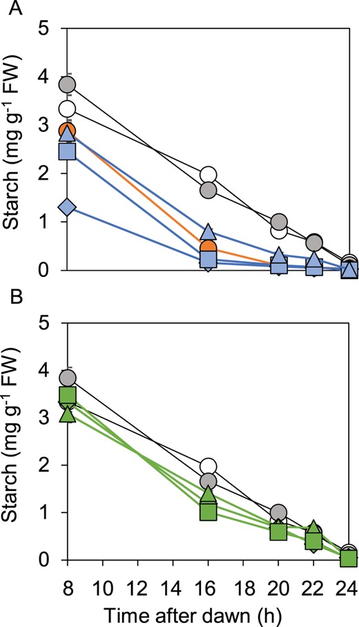 Comparison of patterns of starch degradation in wild-type, bam1-1 and bam1-2D plants and transgenic lines. Plants were grown with 12-h light, 12-h dark for 21 d, then rosettes were harvested and starch contents were measured during an early night, which started 8-h after dawn. A, Open, gray and orange symbols represent, respectively, wild-type, bam1-1 and bam1-2D plants. Blue symbols represent three independent lines of transgenic plants expressing BAM1(S132N) in a bam1-1 background. Triangle, B1.12.12. Square, B1.13.7. Diamond, B1.2.21. B, Open and gray symbols represent, respectively, wild-type and bam1-1 plants. Green symbols represent three independent lines of transgenic plants expressing BAM1(S132N) in a wild-type background. Triangles, W1.9.8. Squares, W1.1.7. Diamonds, W1.10.5. Data are means of measurements on five individual rosettes. Error bars are se: where not visible, they are smaller than the symbol.