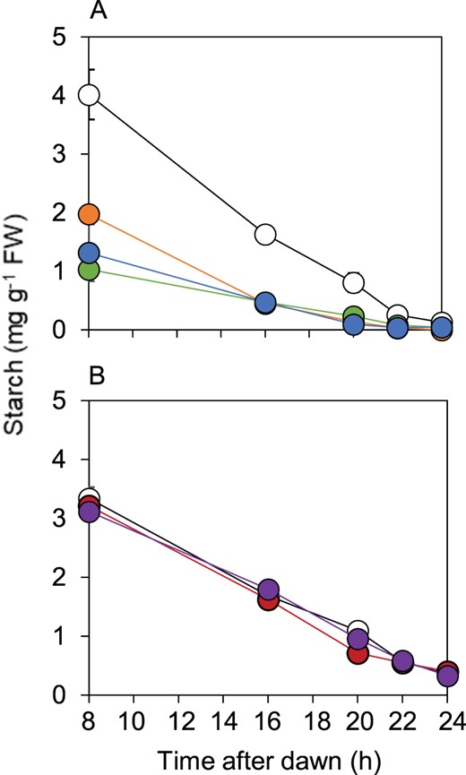 Effect of S132D and S132A substitutions in BAM1 on starch degradation. Plants were grown with 12-h light, 12-h dark for 21 d. Starch contents were measured over an early night, starting 8 h after dawn. A, Comparison of wild-type (open circle), bam1-2D (orange), and two lines expressing BAM1(S132D) in a bam1-1 background: B2.7.6 (blue) and B2.9.10 (green). B, Comparison of wild-type (open circles) and two lines expressing BAM1(S132A) in a bam1-1 background: B3.24.5 (red) and B3.26.5 (purple). Data are means of measurements on five individual rosettes. Error bars are se: where not visible, they are smaller than the symbol.