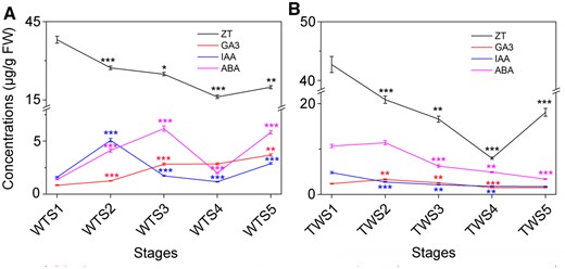 Changes in the concentrations of four phytohormones during five developmental stages in the WT Moso bamboo and the TW variant. A and B, Changes in the concentrations of four phytohormones in the WT (A) and the TW (B) groups. Error bars indicate sd of three technical repeats. Statistical analyses were performed by Student’s t test. *P < 0.05; **P < 0.01; ***P < 0.001.