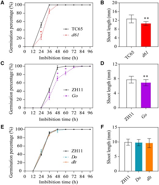 Germination analysis of BR-insensitive mutant seeds. A–F, Germination rate from 0 to 96 HAI and shoot length at 96 HAI in d61 and wild-type TC65 seeds (A and B), Go and wild-type ZH11 seeds (C and D), and Do, dlt, and ZH11 seeds (E and F). Error bars represent sd (n = 3 experiments, each replicate contained 30 seeds). *P < 0.05; **P < 0.01 (Student’s t test).