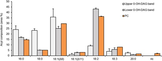 Acyl composition of PC and two TLC separated 0-OH-DAG bands in microsomal preparations from developing castor bean endosperm. The PC species and 0-OH-DAG species were separated in two different TLC system, in situ methylated, and the acyl composition determined by GC. The two separated 0-OH-DAG bands were from TLC plate presented in Figure 6A. 0-OH-DAG designate DAG with no ricinoleoyl group. Average values shown ± sd, n = 3 replicates.