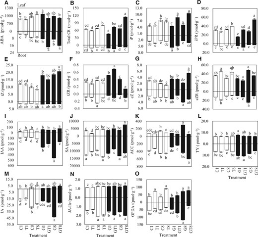 Phytohormone content in leaves and roots of AM and NM jujube seedlings during salt treatments. A, ABA; B, total CKs content; C, iP; D, iPR; E, tZ; F, tZR; G, cZ; H, cZR; I, IAA; J, SA; K, ACC; L, TY; M, JA; N, JA-Ile; and O, OPDA. 1, NM plant under 1 day of 0-mM NaCl treatment; T1, NM plant under 1 day of 100-mM NaCl treatment; G1, AM plant under 1 day of 0-mM NaCl treatment; GT1, AM plant under 1 day of 100-mM NaCl treatment; C8, NM plant under 8 day of 0-mM NaCl treatment; T8, NM plant under 8 day of 100-mM NaCl treatment; G8, AM plant under 8 day of 0-mM NaCl treatment; GT8, AM plant under 8 day of 100-mM NaCl treatment. Significance of difference among treatments was assessed by one-way ANOVA: * indicate p < 0.05, n = 3.
