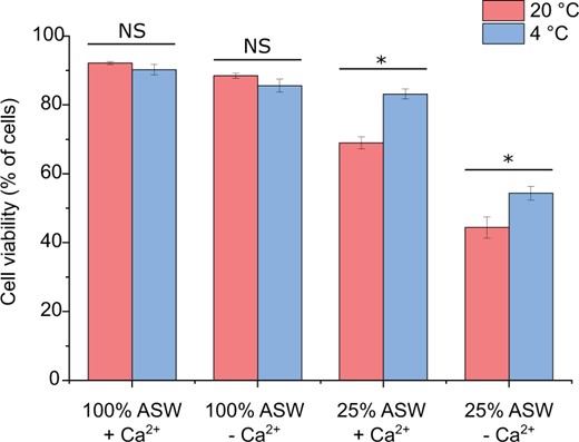 Simultaneous cold shock reduces mortality associated with hypo-osmotic shock. Cell viability (measured by exclusion of Sytox Green stain) was determined in P. tricornutum cells 3 min after exposure to a severe hypo-osmotic shock (25% ASW) with or without simultaneous cold shock (4°C ASW). The presence or absence of external Ca2+ was used to establish the effect of inhibiting Ca2+ signaling during the applied shocks. The decrease in cell viability due to a hypo-osmotic shock (25% ASW) is significantly reduced when a simultaneous cold shock is applied. Three replicates were performed for each treatment, with at least 100 cells counted for each replicate. Significant differences due to temperature are marked with (*P < 0.05 one-way ANOVA with Holm–Sidak post hoc test). The experiment was repeated four times with similar results each time. Error bars represent se.