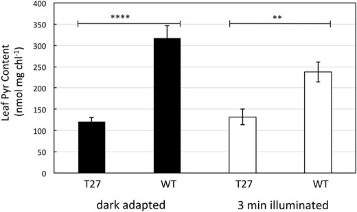 Leaf Pyr content of dark adapted and 3 min illuminated WT and T27 leaves. Leaves were dark adapted for 2 h prior to illumination for 3 min at 1,300 µmol quanta m−2s−1. Values are the means ± se, n = 8 except for dark adapted T27 where n = 6. Asterisks indicate statistically significant differences by two-tailed Student’s t test: *P < 0.05; **P < 0.01; ****P < 0.0001.