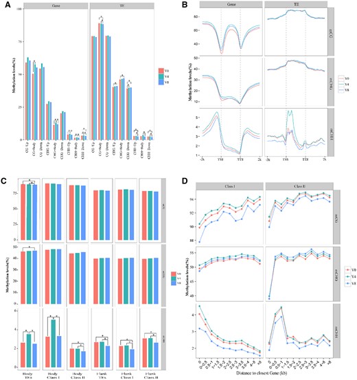 Comparison of DNA methylation levels in the genic and TE regions among V0 (no vernalization), V4 (vernalized for 4 weeks), and V8 (vernalized for 8 weeks). A, Comparison of methylation levels in genic and TE bodies and their 2-kb flanking regions upstream (Up) and downstream (Down; Wilcoxon test, *P<0.05). B, Methylation profiles in genic and TE regions. The mean level for each 100-bp interval is plotted. “TSS” indicates the transcriptional start site, and “TTS” indicates the transcription termination sites. C, Methylation of TE Class I (retrotransposons) and Class II (DNA transposons) in the gene body and flanking 2-kb regions. “Body” indicates the insertion is in the gene body region, and “Flank” indicates the insertion is in the flanking 2-kb region (Wilcoxon test, *P<0.05). D, TE methylation level related to the distance from the closest gene; “0” indicates that the TEs are inserted into the gene bodies.
