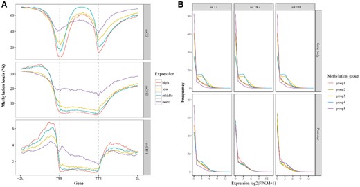 Relationship between DNA methylation and gene expression in orchardgrass during vernalization. A, Distributions of methylation levels within gene bodies by different expression levels: none (FPKM < 1), low (1 < FPKM < lower quartile), medium (lower quartile < FPKM < upper quartile), and high (FPKM > upper quartile). “TSS” indicates the TSS, and “TTS” indicates the transcription termination sites. B, Expression profiles of methylated genes. Methylated genes were divided into five groups based on promoter and gene body region methylation levels: Group 1 (methylation levels < lower quintile), Group 2 (lower quintile < methylation levels < the second quintile), Group 3 (the third quintile < methylation levels < the fourth quintile), Group 4 (the fourth quintile < methylation levels < upper quintile), and Group 5 (methylation levels > upper quintile).