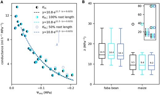 Comparison between the hydraulic conductance between root surface and leaf (KRL) and KSL throughout the soil drying period. A, KRL compared with KSL, as a function of Ψseq, example shown for one faba bean plant (same plant as in Figure 3A). KRL was determined using the calculated water potential at the root surface for the full root length (cyan) or half of the root length (blue). We exponentially fitted the data (dashed lines) to determine the rate constants λ starting at a Ψseq of −0.025 MPa. For reasons of clarity, we plotted only one data point per light period here but derived the exponential fit using four data points per light period, analogously to Figure 3. B, Boxplots of the rate constants λ obtained from the exponential fits of KSL (black, same data as in Figure 3B) and KRL considering the full root length (cyan) or half of the full root length (blue) for faba bean (n = 12) and maize (n = 10). Characteristics of the boxplots are similar to Figure 2, A, C, and E. The main panel does not include all outliers which are shown in the inserted figure.