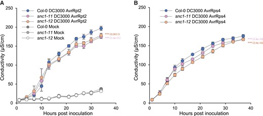 NLR-mediated hypersensitive responses are reduced in the loss of function mutants of SNC1. A-B, Quantification of cell death of Col-0, snc1-11 and snc1-12 leaves inoculated with Pst DC3000 AvrRpt2 (A) or Pst DC3000 AvrRps4 (B). Cell death was assessed by conductivity at the indicated time points. Data are presented as mean ± Sd of four biological replicates. Significant differences were tested by two-way ANOVA (***, P < 0.001) and P values assessing genotype effects were provided in brackets.