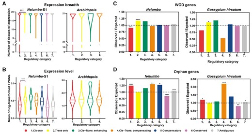 Association of genes in different regulatory categories with the proxies of pleiotropic constraint in nelumbo, Arabidopsis and Gossypium hirsutum. A, Differences in expression breadth for genes with different regulatory categories in Nelumbo with 19 different tissues and Arabidopsis with 21 different tissues (Kruskal–Wallis test, *** P value < 0.001 after Benjamini–Hochberg correction for multiple comparisons). The violin plot shows the summarizing ranges of genes with different regulatory categories in different tissues (violin contours). B, Average expression level (log-transformed FPKMs) for genes with different regulatory categories in Nelumbo with 19 different tissues and Arabidopsis with 21 different tissues (Kruskal–Wallis test, *** adjusted P value < 0.001 for multiple comparisons). Horizontal solid lines represent median values, and dashed lines represent lower/upper quartiles. C, The ratio of the observed number of WGD genes (duplicate genes retained from ancient WGD) to the expected number of WGD genes. The proportion of WGD genes that have both putative paralogs retained for genes in different regulatory categories (colored bars). D, The ratio of the observed number of orphan genes (genes that lack detectable similarity to genes in other species) to the expected number of orphan genes. The proportion of orphan genes under cis- and/or trans-regulation (colored bars). In c and d, the black dashed line indicates the ratio of 1, i.e. observed numbers = expected numbers. Ratios > 1 indicate there are more genes than expected, while ratios < 1 indicate there are fewer genes than expected (χ2 test of independence, *: P value < 0.05, **: P value < 0.01, ***: P value < 0.001). Corresponding violin plots and bar graphs for other stages and other duplications are shown in Supplemental Figures 17–19.
