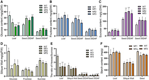 Sugar status in source organs and seeds. A–C, the content of glucose, fructose, and sucrose in tissues, respectively. D, sugar content in the silique wall. E, the ratio of hexose to sucrose in tissues. F, starch content in tissues. WT, wild-type line; MT, bnacipk9 lines; DW, dry weight. Three independent bnacipk9 lines were selected for this experiment. Error bars indicate standard deviation (n = 3). Single, double, and triple asterisks indicate significant differences between bnacipk9 lines and WT plants with P values of 0.05, 0.01, and <0.001, respectively, as determined using the analysis of variance by the least-significant difference test.